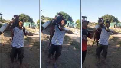 Indignante: obligan a caballo de carrera a beber cerveza