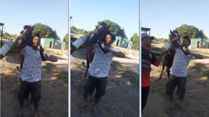 Indignante: obligan a caballo de carrera a beber cerveza