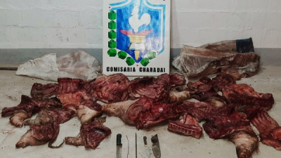 Atraparon a cazadores furtivos con tres animales silvestres faenados
