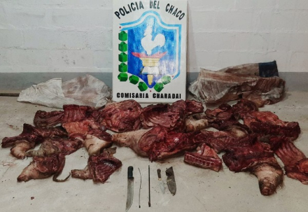 carne01.jpg