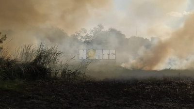 En el Chaco se localizaron 523 focos y el fuego arrasó 2900 hectáreas