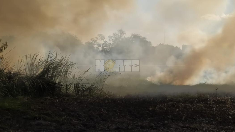 En el Chaco se localizaron 523 focos y el fuego arrasó 2900 hectáreas