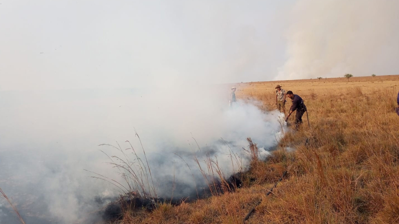 Sequía e incendios: la Mesa de Enlace pidió ayuda del Gobierno Nacional para el NEA