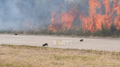 El humo de los incendios invadió gran parte de Resistencia