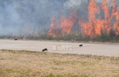 El humo de los incendios invadió gran parte de Resistencia
