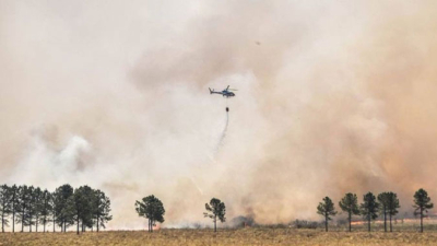 Aún sin extinguirse los incendios en Corrientes, varios animales regresaron a la reserva Yerbalito