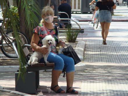 señora perrito.JPG