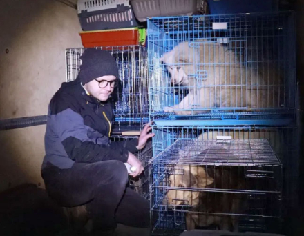 veterinario5.jpg