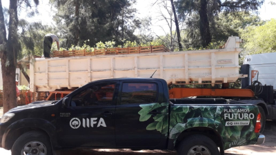 A largo plazo el Chaco planea enviar dos millones de plantines a San Luis  