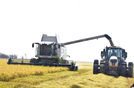 tractor cosecha.jpg
