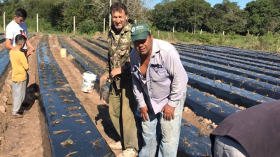 Frutilleros del Chaco quieren llegar lejos, y proponen con el Grupo de Cambio Rural, un transitar hacia la especialización
