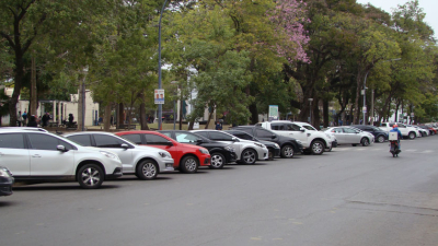 Desarrollan aplicación que indica los lugares libres para estacionar
