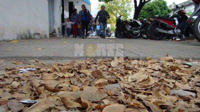 La semana termina con probabilidad de lluvias
