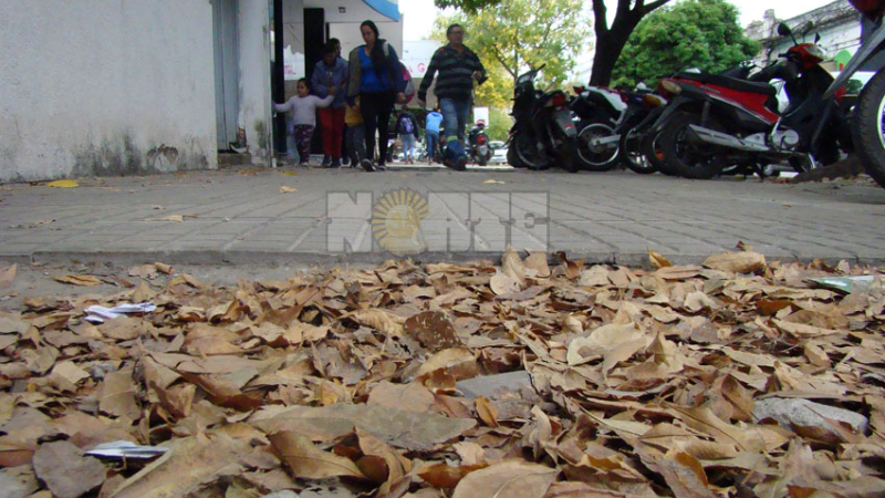 La semana termina con probabilidad de lluvias