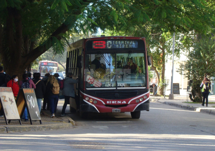 colectivos frio.JPG