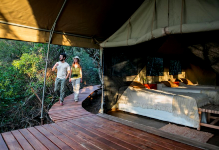camping5.jpg