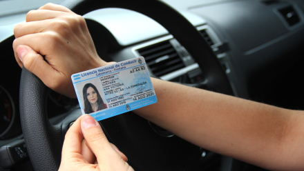 licencia3.jpg