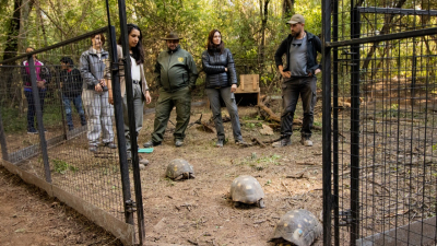 Primera liberación de diez tortugas Yabotí en El Impenetrable