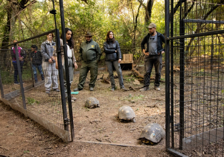 tortugas3.jpg