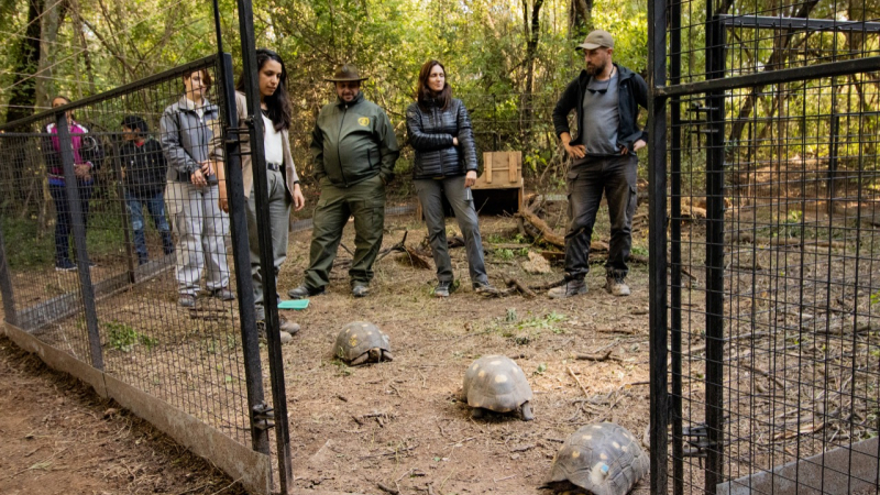 Primera liberación de diez tortugas Yabotí en El Impenetrable