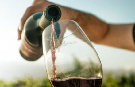 vino qatar.jpg