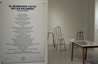 "Pensar el cuerpo como territorio, la piel como límite, el tacto como frontera"