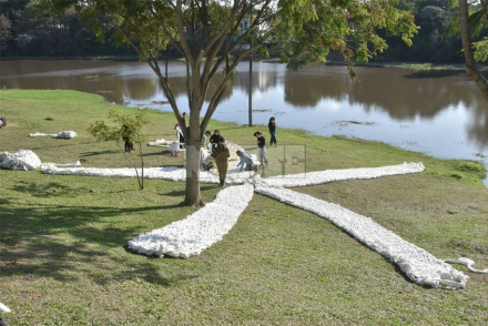 bienal6.jpg