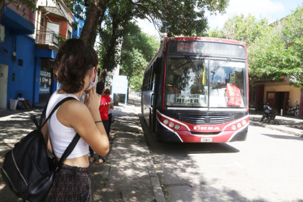 colectivos.JPG
