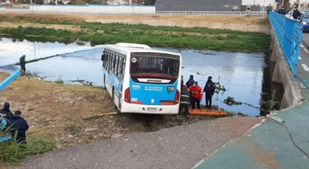 colectivopng.jpg