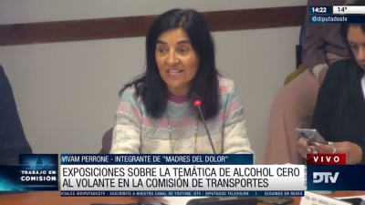 Diputados: con invitados comenzó el debate sobre el proyecto de Alcohol Cero al volante