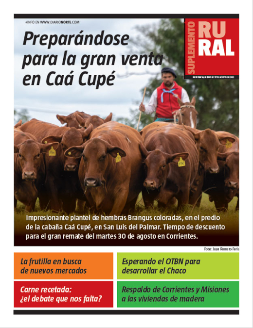 Preparándose para la gran venta en Caá Cupé