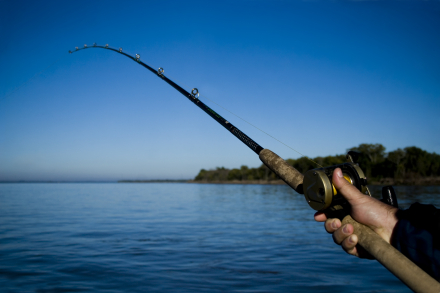 Isla del Cerrito-rio-pesca-mano-caña.jpg