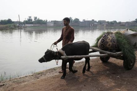 Pakistan34.jpg