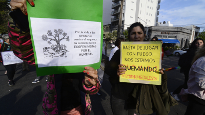 Continúa desigual combate contra incendios en el delta del Paraná 