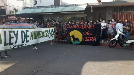 ley humedales reclamo.JPG