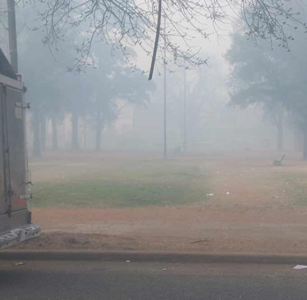 Rosario-Humo09.jpg