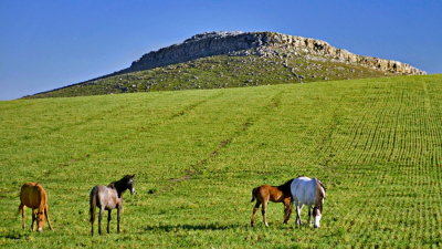 Los Pueblos Turísticos bonaerenses, una forma de conocer historias y patrimonios naturales