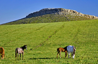Los Pueblos Turísticos bonaerenses, una forma de conocer historias y patrimonios naturales