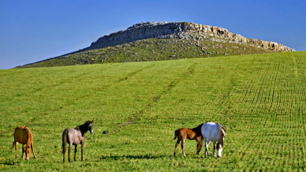 pueblo turistico3.jpg
