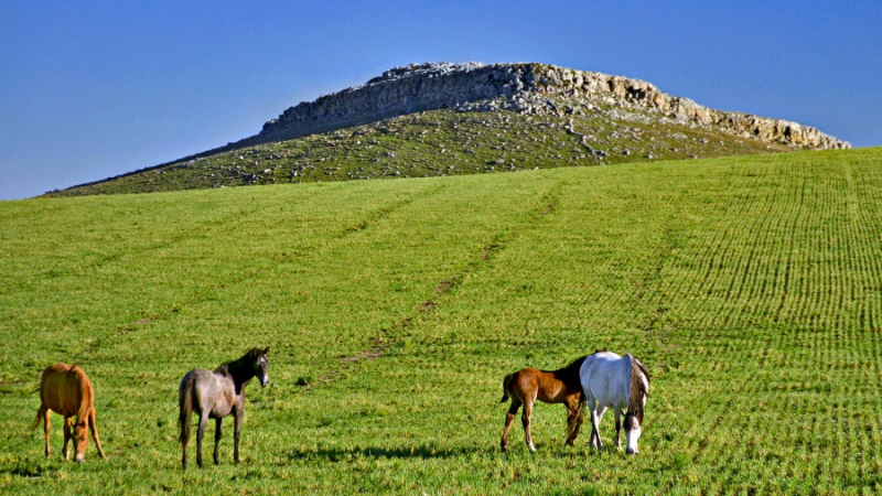 Los Pueblos Turísticos bonaerenses, una forma de conocer historias y patrimonios naturales 