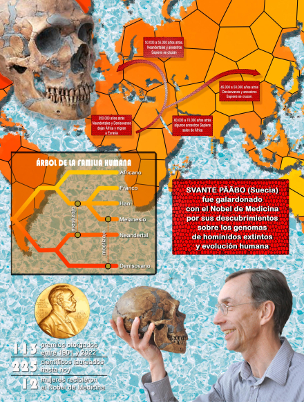 NOBEL-web.jpg
