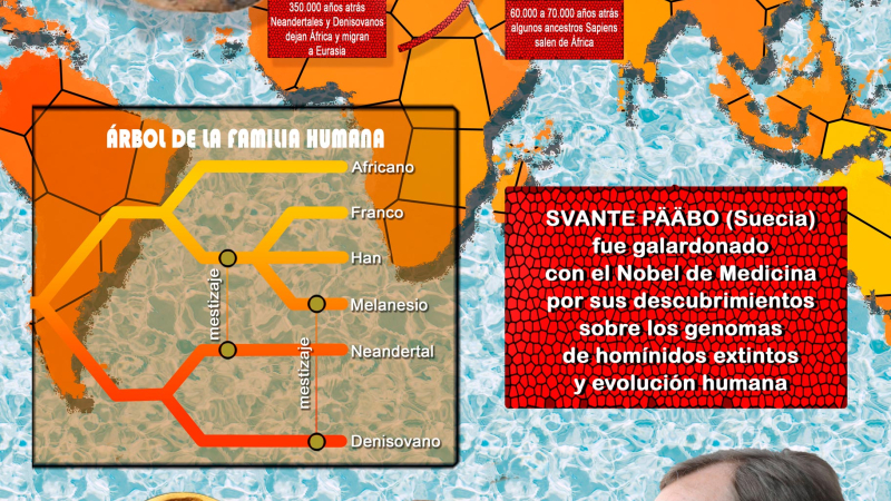 Svante Pääbo ganó el Premio Nobel 2022 en Fisiología y Medicina