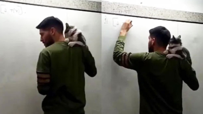 Un profesor da clases con un gato en sus hombros
