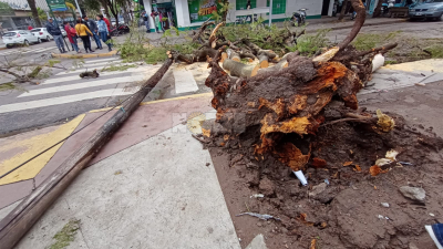 Ráfagas de viento de hasta 86 km/h y más de 40 milímetros de agua caída en Resistencia
