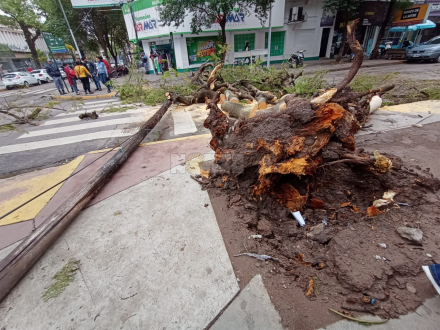 tormenta3.jpg