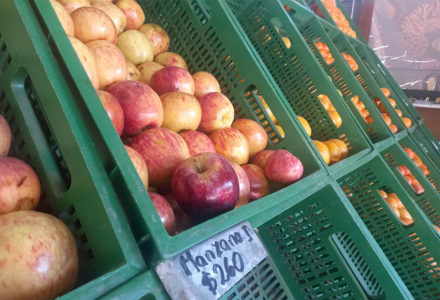 frutas-dos-(1).jpg