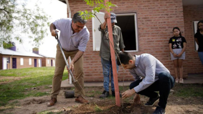 Al árbol lo plantamos juntos