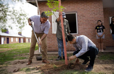 Al árbol lo plantamos juntos