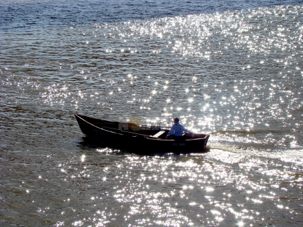 parana.jpg