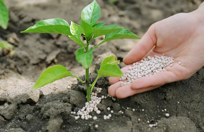 Alimentos balanceados: fabricantes perjudicados por trabas a las importaciones